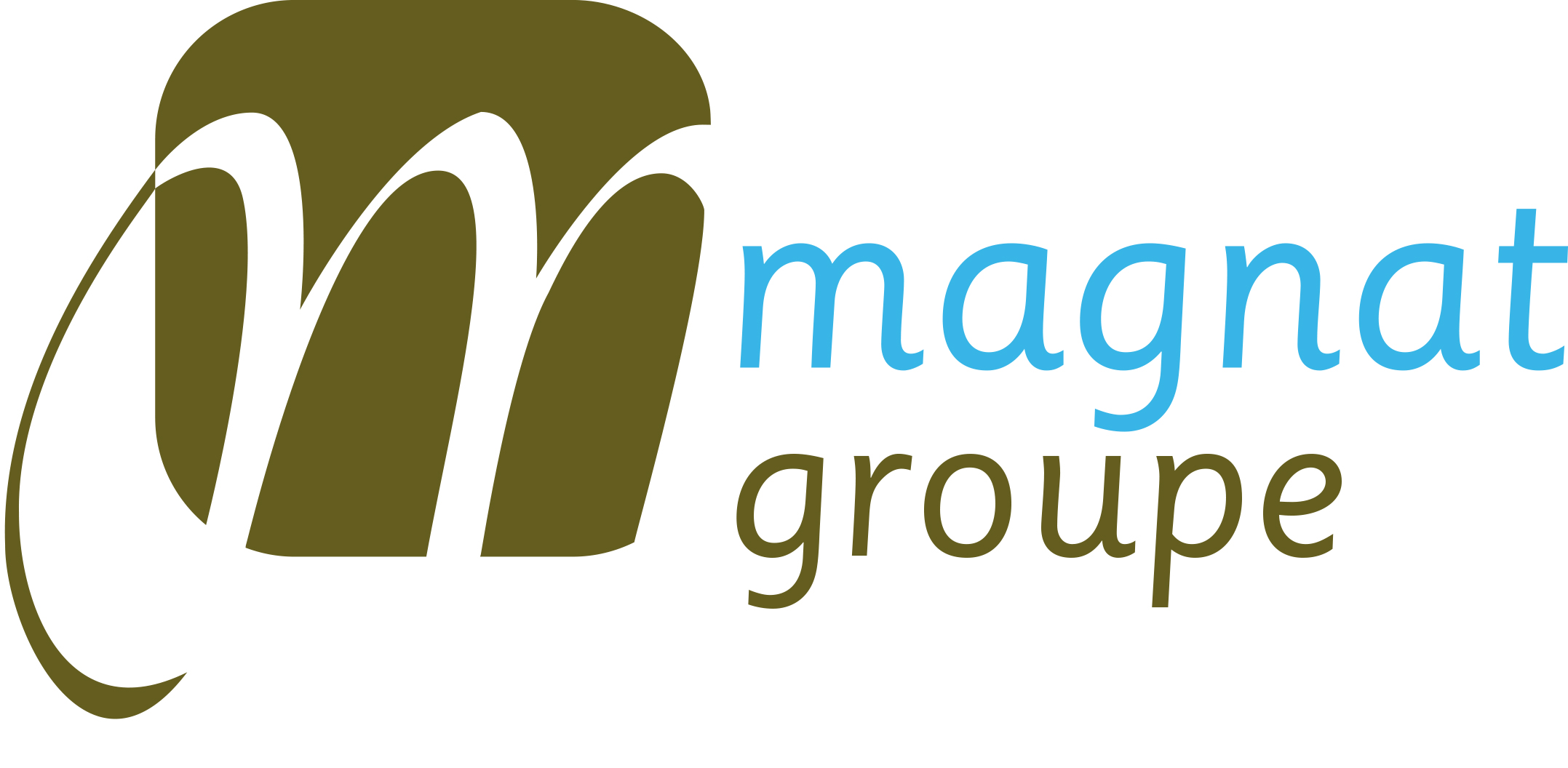 Logo_magnat-groupe.jpg